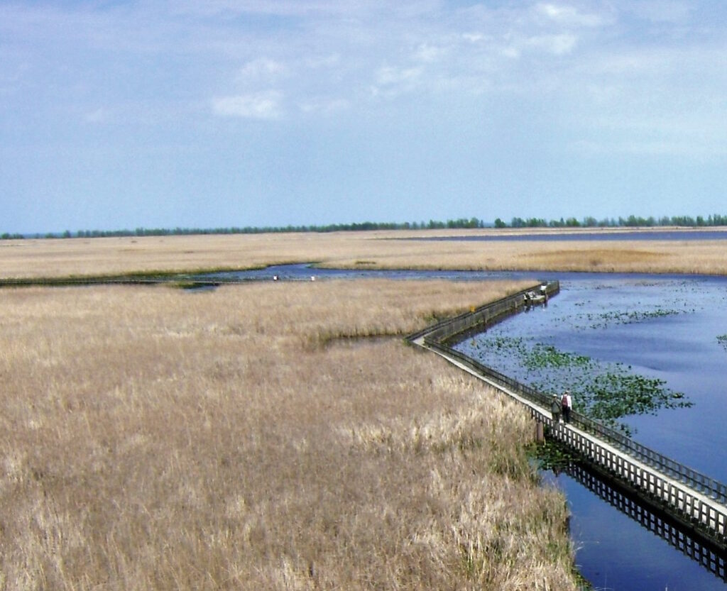 Point Pelee National Park